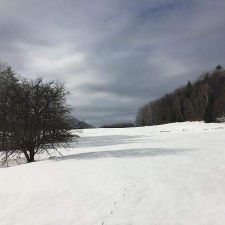 Pokoje Goscinne Vida Krynica-Zdrój Kültér fotó