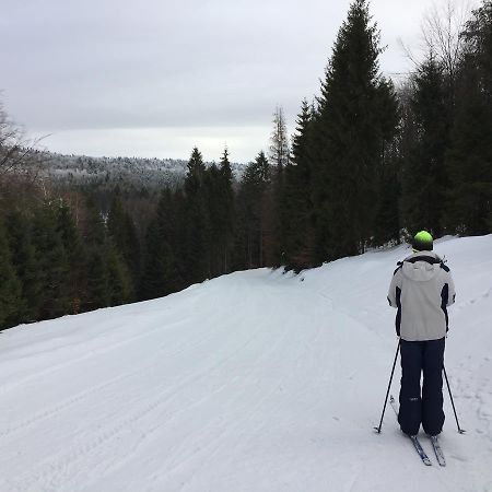 Pokoje Goscinne Vida Krynica-Zdrój Kültér fotó