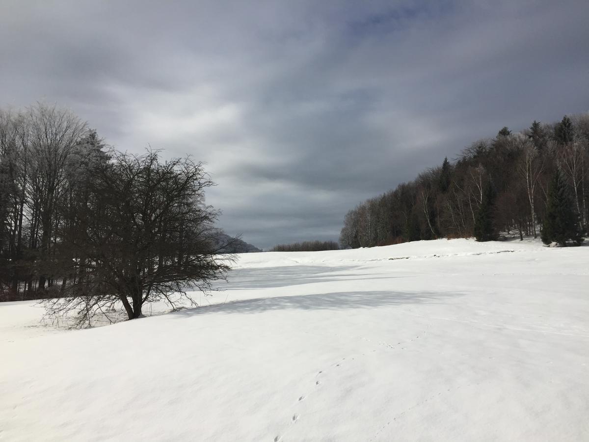 Pokoje Goscinne Vida Krynica-Zdrój Kültér fotó