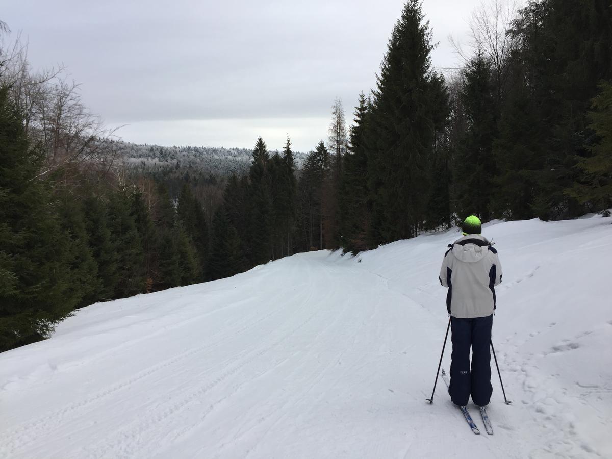 Pokoje Goscinne Vida Krynica-Zdrój Kültér fotó